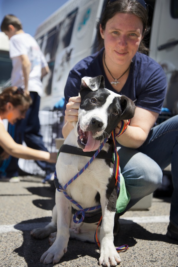 PetSmart Charities® Announces Nearly 7.6 Million in Immediate Funding